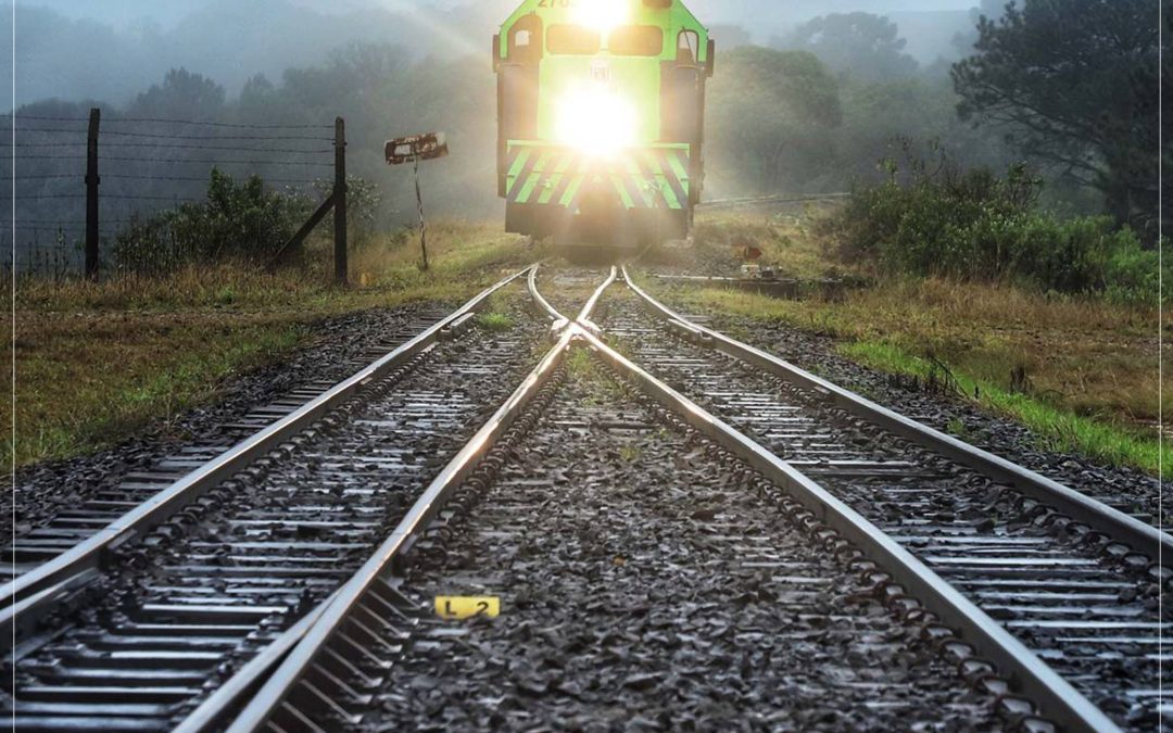 Comitê de infraestrutura debate o projeto da nova ferrovia